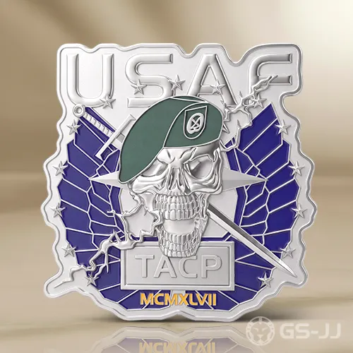 USAF_TACP_Beret_Skull_Challenge_Coin USAF_TACP_Beret_Skull_Challenge_Coin