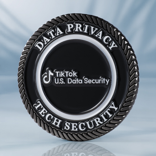 TikTok Security Verify Challenge Coin