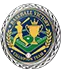 Baseball Victory Champion Team Coin