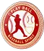 Play Ball Baseball Spirit Baseball Challenge Coins