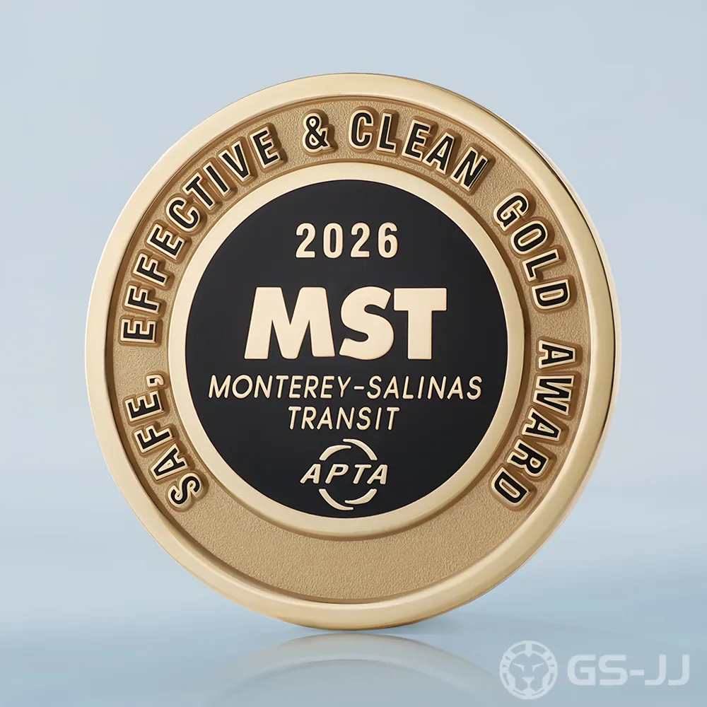 Safe Award Pin Safe Award Pin