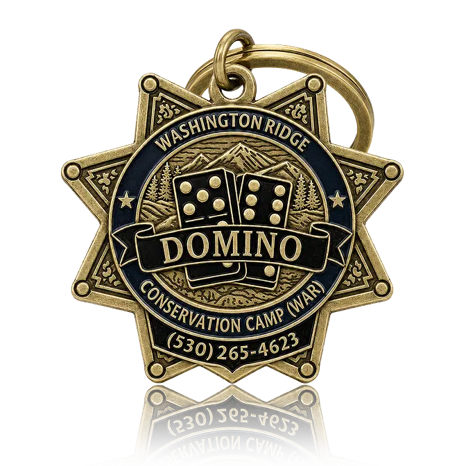 promotion die struck key chain with antique gold