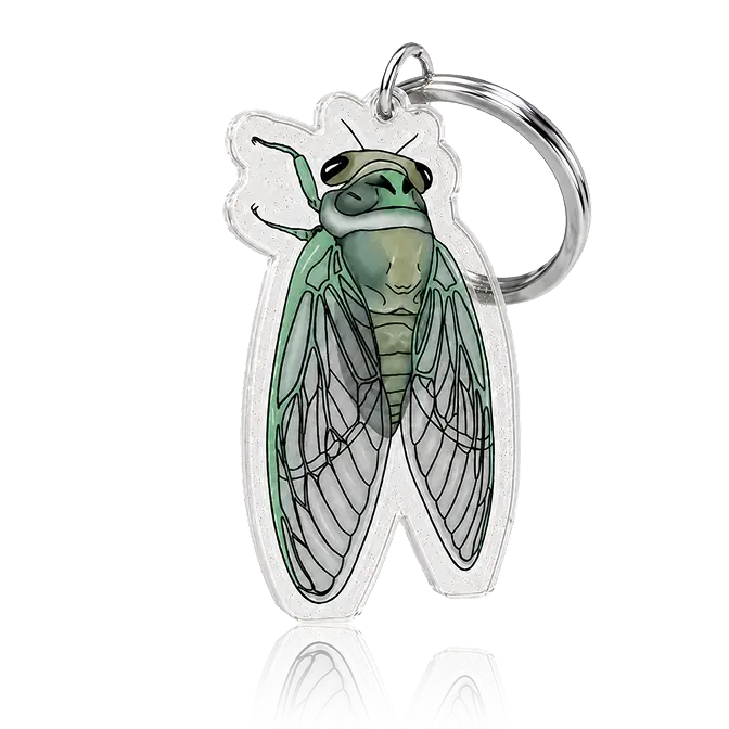 Cicada acrylic key chain with gillter finish