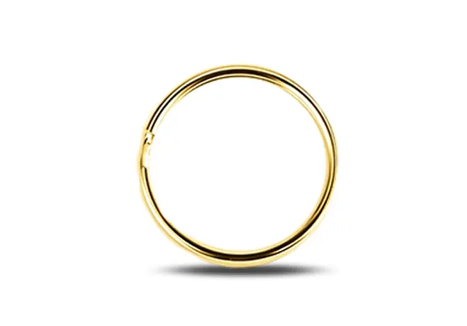 Split Ring Only