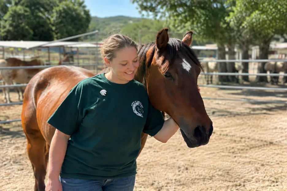  How Custom Enamel Pins Helped Horses of Tir Na Nog Create a Memorable Fundraising Event Experience